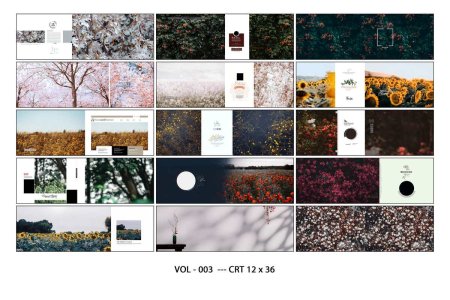 VOL - 003  --- CRT 12 x 36