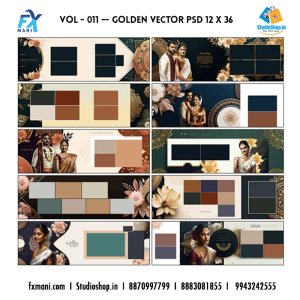 VOL - 011  --- Golden Vector Layout PSD  12 x 36