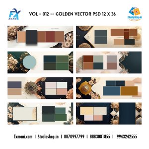 VOL - 012  --- Golden Vector Layout PSD  12 x 36