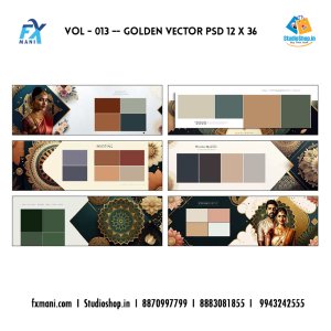 VOL - 013  --- Golden Vector Layout PSD  12 x 36