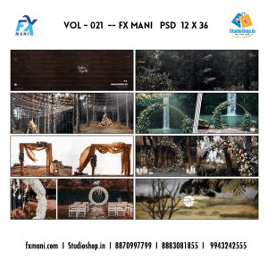 VOL - 021  --- FX MANI   PSD  12 x 36