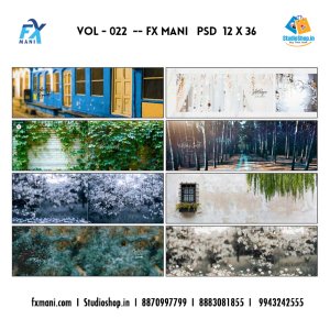 VOL - 022  --- FX MANI   PSD  12 x 36