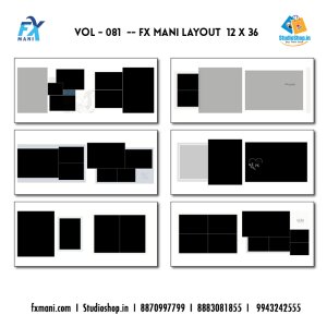 VOL - 081 --- FX MANI LAY OUT  12 X 36