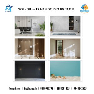 VOL - 311 ---  FX MANI  STUDIO BG    12 X 18