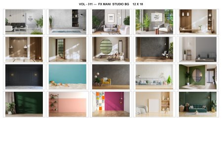 VOL - 311 ---  FX MANI  STUDIO BG    12 X 18