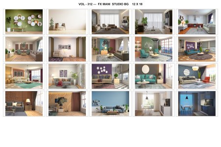 VOL - 312 ---  FX MANI  STUDIO BG    12 X 18