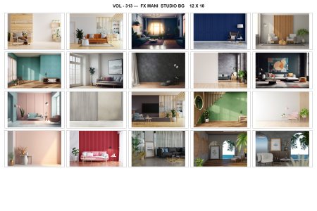 VOL - 313 ---  FX MANI  STUDIO BG    12 X 18