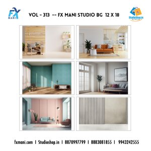 VOL - 313 ---  FX MANI  STUDIO BG    12 X 18