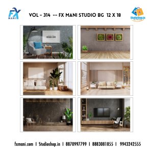 VOL - 314 ---  FX MANI  STUDIO BG    12 X 18