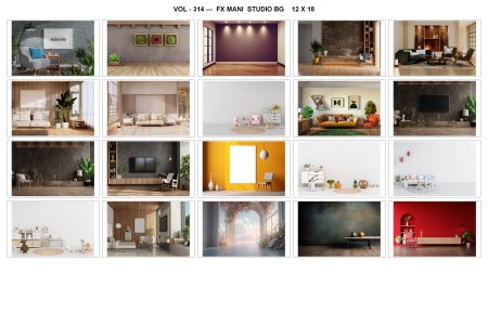 VOL - 314 ---  FX MANI  STUDIO BG    12 X 18