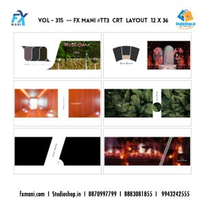 VOL - 315 ---  FX MANI  # TT3  CRT LAYOUT  12 X 36