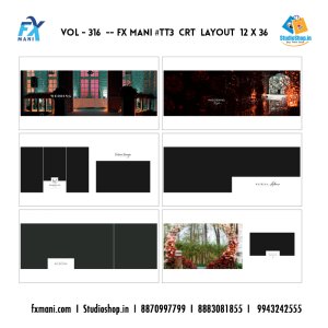 VOL - 316 ---  FX MANI  # TT3  CRT LAYOUT  12 X 36