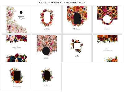 VOL - 317 ---  FX MANI  # TT3  HALF SHEET  16 X 24