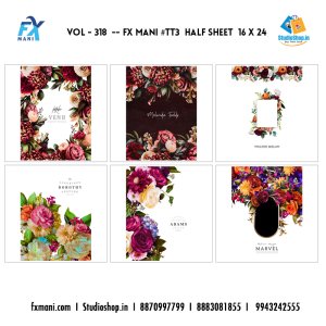 VOL - 318 ---  FX MANI  # TT3  HALF SHEET  16 X 24