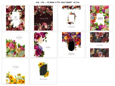 VOL - 318 ---  FX MANI  # TT3  HALF SHEET  16 X 24