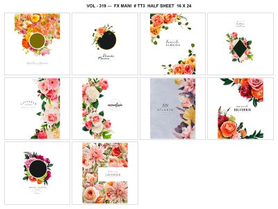 VOL - 319 ---  FX MANI  # TT3  HALF SHEET  16 X 24