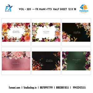 VOL - 320 ---  FX MANI  # TT3  HALF SHEET  12 X 18