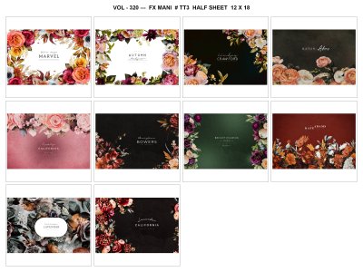 VOL - 320 ---  FX MANI  # TT3  HALF SHEET  12 X 18