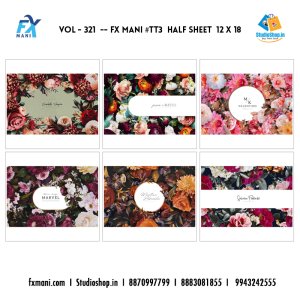 VOL - 321 ---  FX MANI  # TT3  HALF SHEET  12 X 18