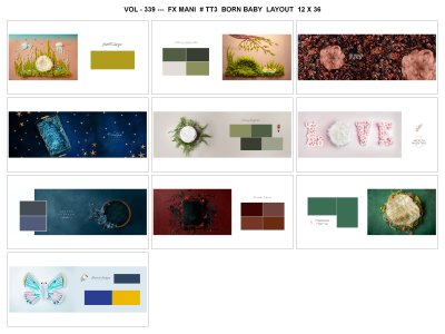 VOL - 339 ---  FX MANI  # TT3  BORN BABY  LAYOUT  12 X 36